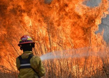 Incendios provocaron pérdidas por 3.850 billones de pesos