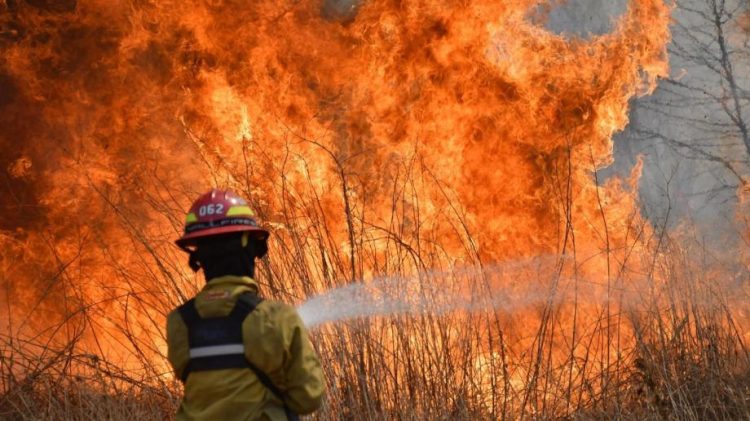 Incendios provocaron pérdidas por 3.850 billones de pesos