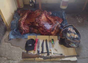 Monte salvaje: otro feroz tiroteo entre policías y cuatreros