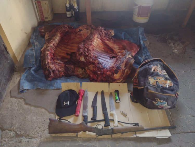 Monte salvaje: otro feroz tiroteo entre policías y cuatreros