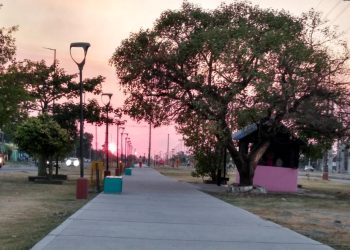 Reportan 6 fallecidos en las últimas 24 horas, el registro de letalidad más alto en lo que va del año