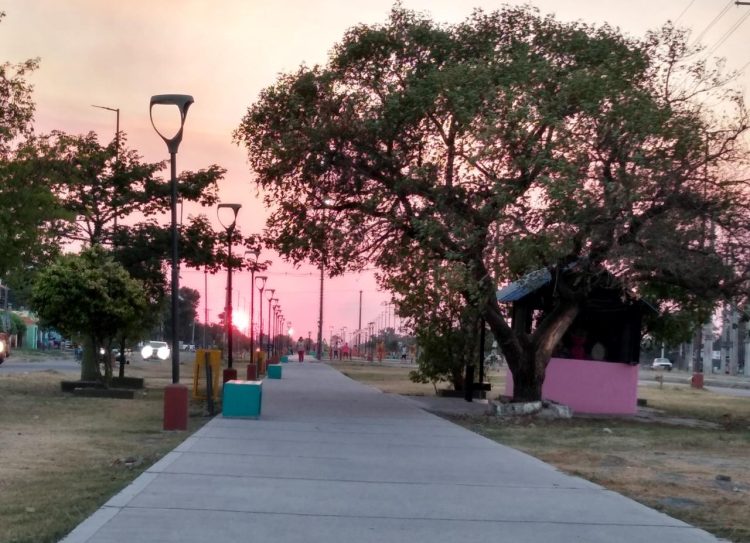 Reportan 6 fallecidos en las últimas 24 horas, el registro de letalidad más alto en lo que va del año