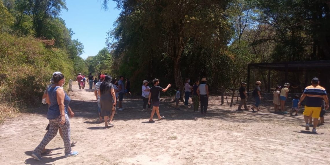 Guaycolec es la atracción de chicos y grandes los fines de semana