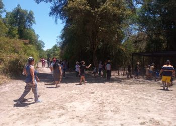 Guaycolec es la atracción de chicos y grandes los fines de semana