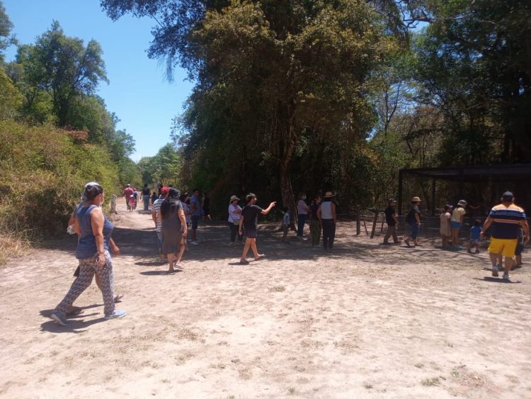 Guaycolec es la atracción de chicos y grandes los fines de semana