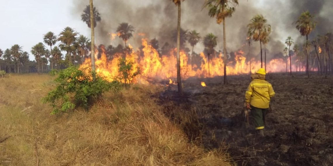 Llaman a tomar conciencia sobre la grave situación que atraviesa el campo por los incendios