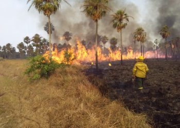Llaman a tomar conciencia sobre la grave situación que atraviesa el campo por los incendios