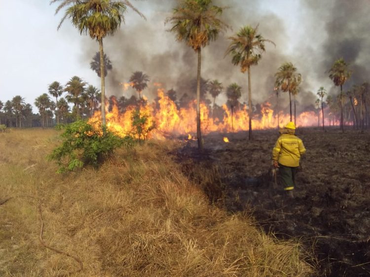 Llaman a tomar conciencia sobre la grave situación que atraviesa el campo por los incendios