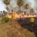 Llaman a tomar conciencia sobre la grave situación que atraviesa el campo por los incendios