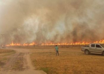 Movida solidaria local junta alimentos y medicamentos para la crisis en Corrientes