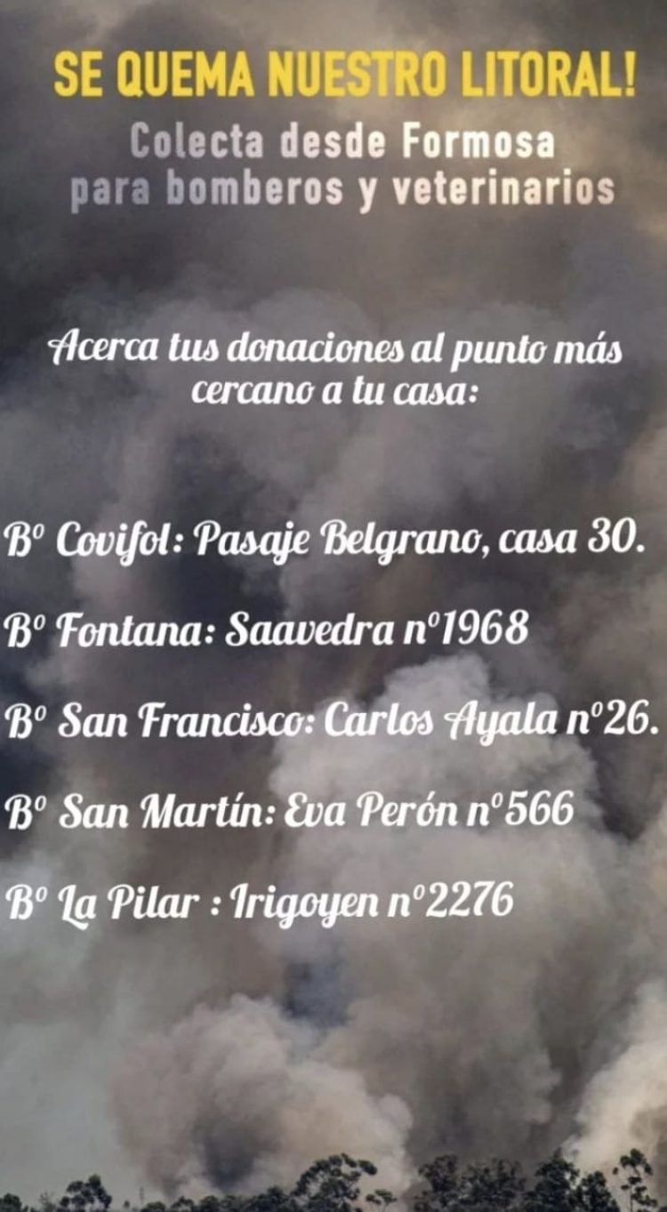 Movida solidaria local junta alimentos y medicamentos para la crisis en Corrientes