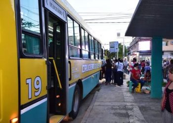Informe privado revela cuánto recibiría Formosa por subsidios al transporte