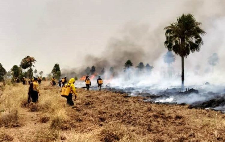 Bomberos y empleados de Estancia Guaycolec, lograron extinguir un incendio que avanzaba hacia la reserva