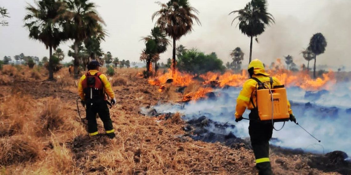 Bomberos y empleados de Estancia Guaycolec, lograron extinguir un incendio que avanzaba hacia la reserva