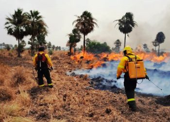 Bomberos y empleados de Estancia Guaycolec, lograron extinguir un incendio que avanzaba hacia la reserva