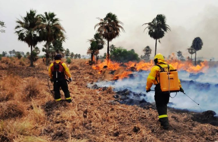 Bomberos y empleados de Estancia Guaycolec, lograron extinguir un incendio que avanzaba hacia la reserva