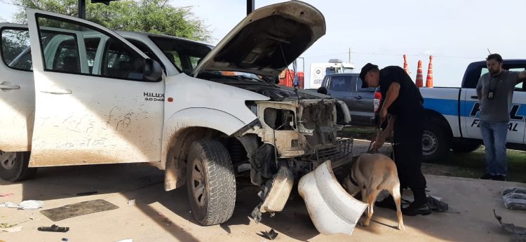 Policía Federal desarticuló banda narco que usaba móviles truchos de Vialidad Nacional