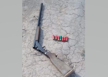 Intensos procedimientos en defensa de la fauna autóctona en el interior