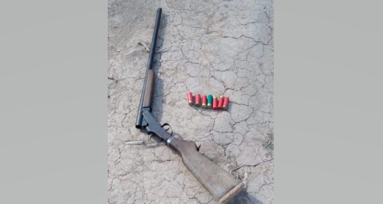 Intensos procedimientos en defensa de la fauna autóctona en el interior