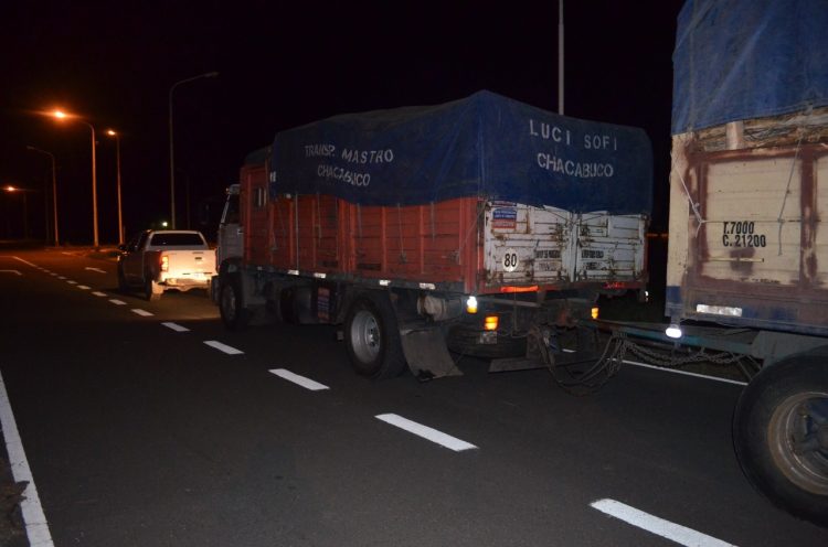 Llevaban 28 toneladas de madera y documentos falsos