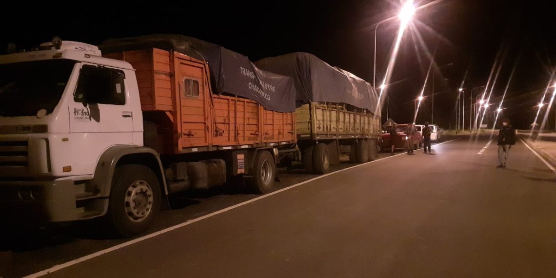 Llevaban 28 toneladas de madera y documentos falsos