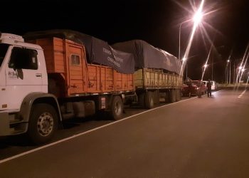 Llevaban 28 toneladas de madera y documentos falsos