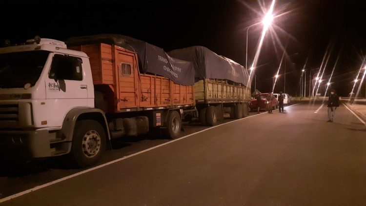 Llevaban 28 toneladas de madera y documentos falsos