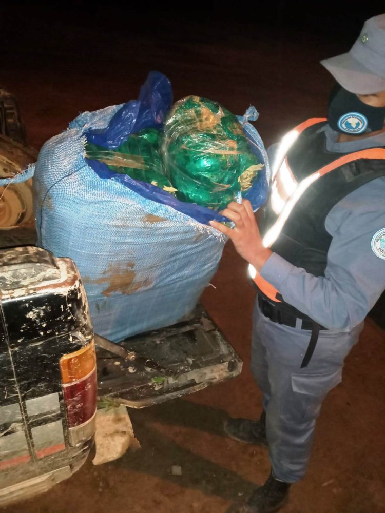 Hallan 50 kilos de hojas de coca en un control rutinario en ruta 86