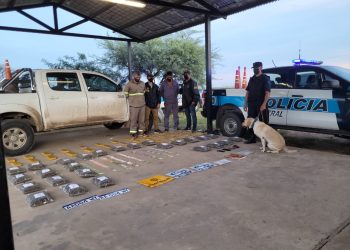 Policía Federal desarticuló banda narco que usaba móviles truchos de Vialidad Nacional