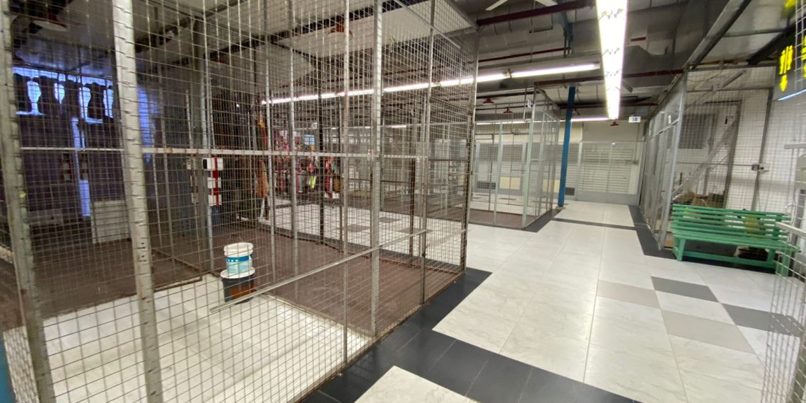 Desolación en el mercado del Puerto: decenas de locales vacíos