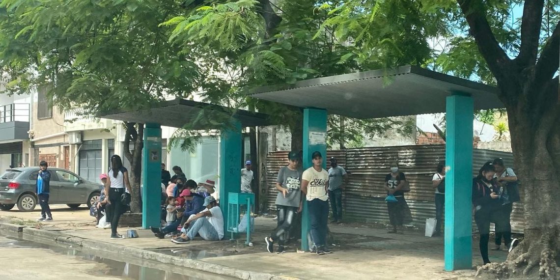 Casadei alertó sobre la “profundización de la crisis del transporte público”