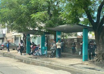 Casadei alertó sobre la “profundización de la crisis del transporte público”