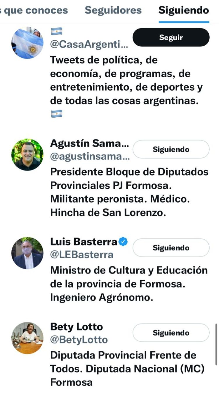 Quiénes son los 71 elegidos de Gildo Insfrán en Twitter