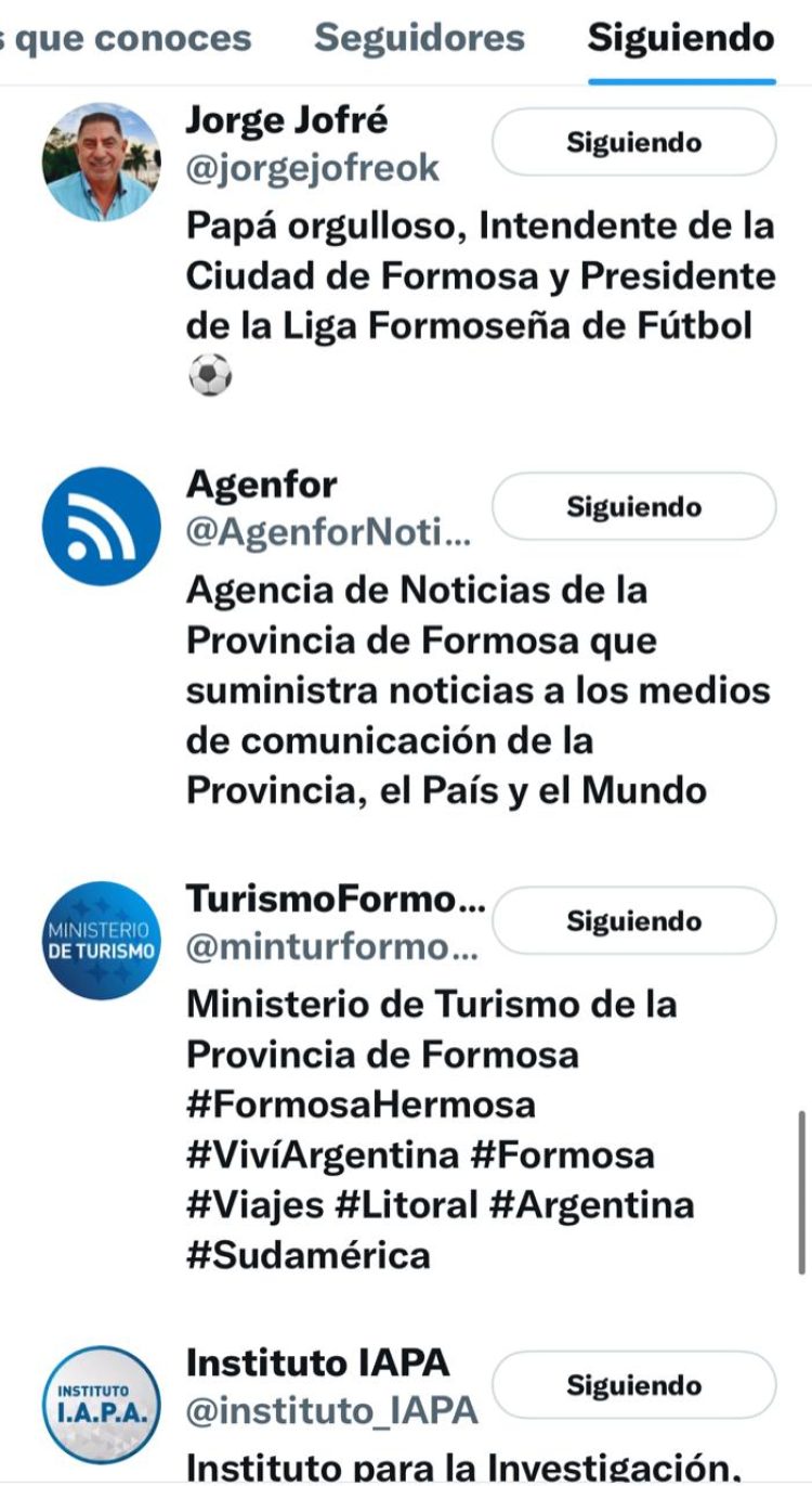 Quiénes son los 71 elegidos de Gildo Insfrán en Twitter