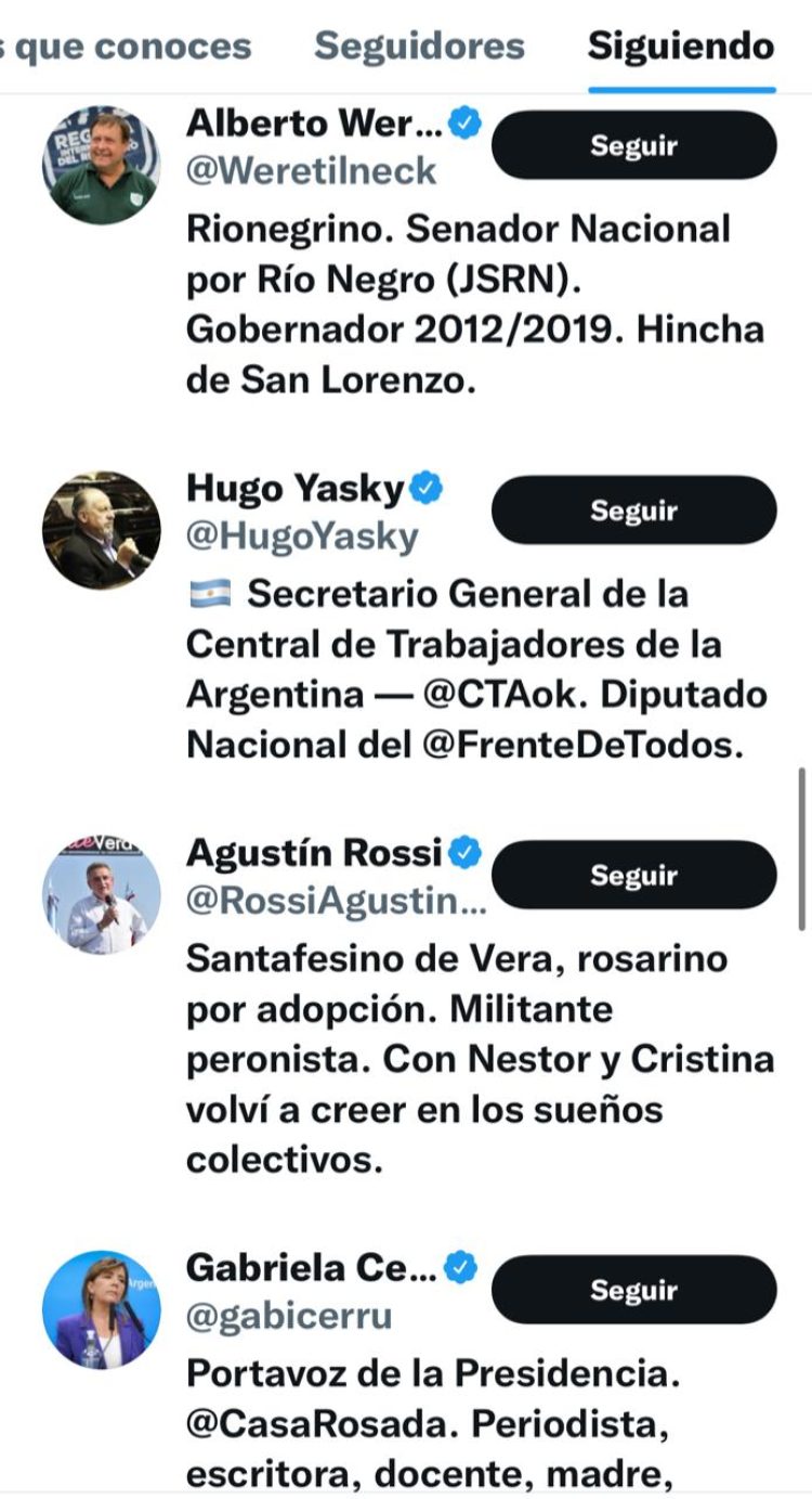 Quiénes son los 71 elegidos de Gildo Insfrán en Twitter