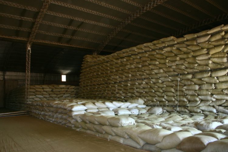 Muchos argentinos ya reemplazan una comida por el mate para “sentirse llenos”