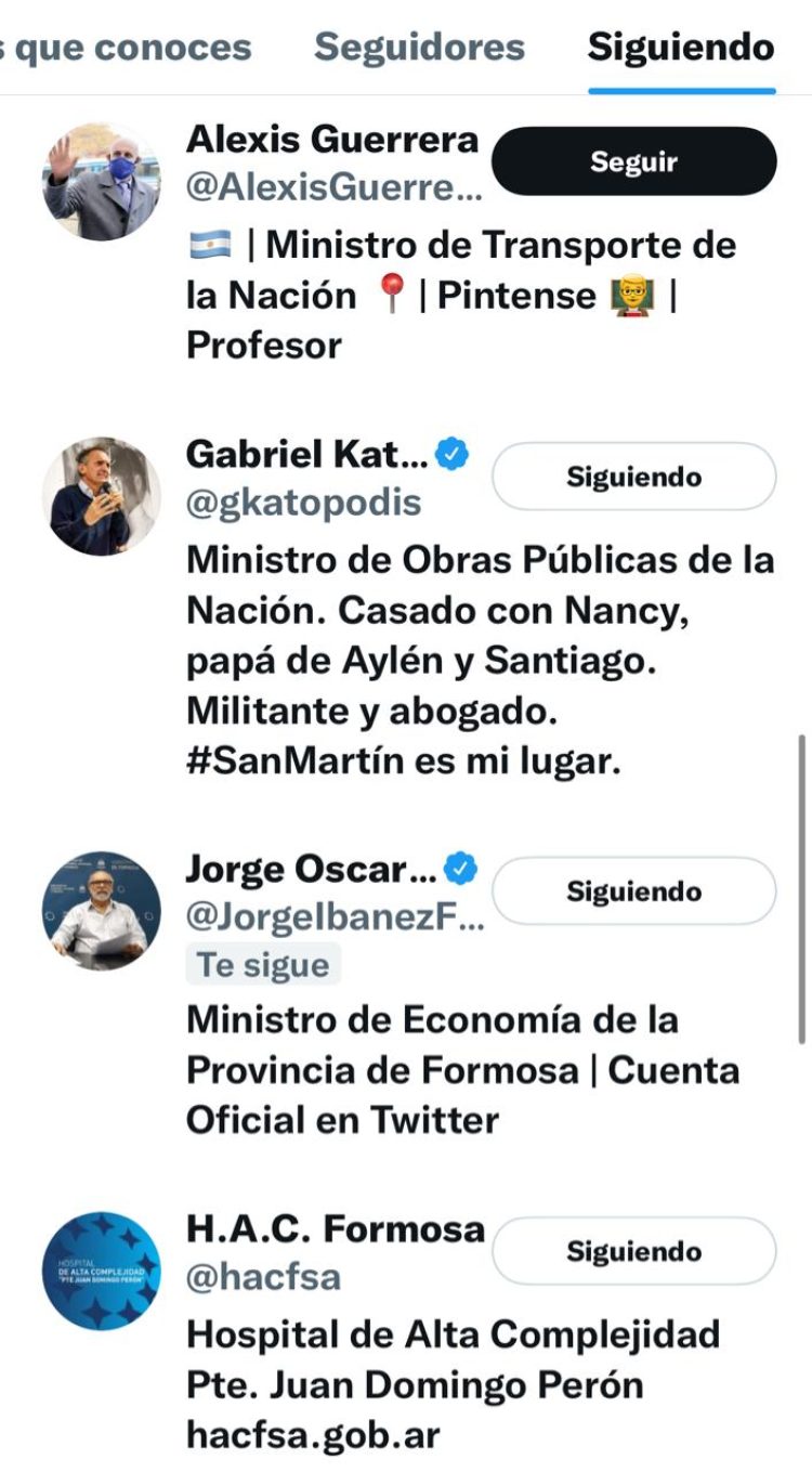 Quiénes son los 71 elegidos de Gildo Insfrán en Twitter