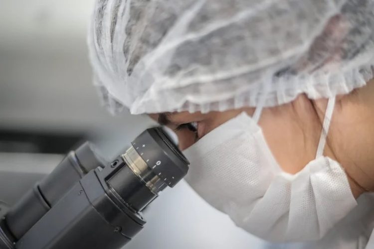 Detectan por qué los analgésicos comunes pueden provocar efectos inesperados