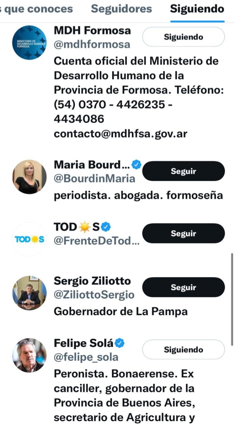 Quiénes son los 71 elegidos de Gildo Insfrán en Twitter