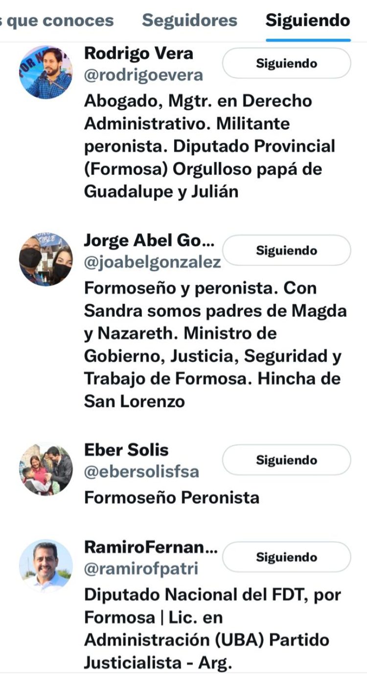 Quiénes son los 71 elegidos de Gildo Insfrán en Twitter
