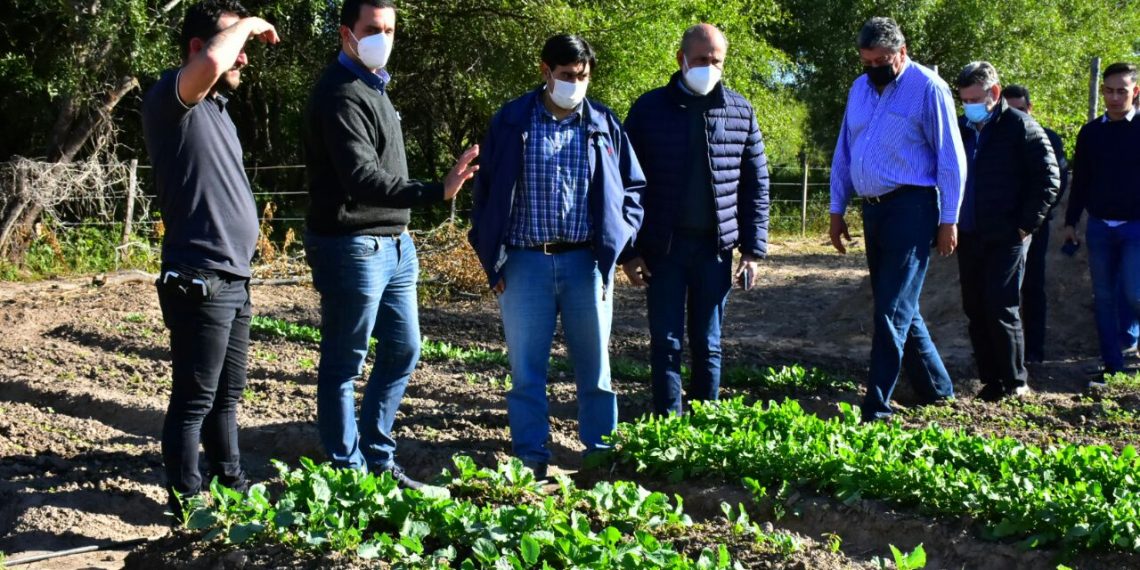 Eber Solís acompañó jornada de capacitación y asistencia a pequeños productores de Güemes