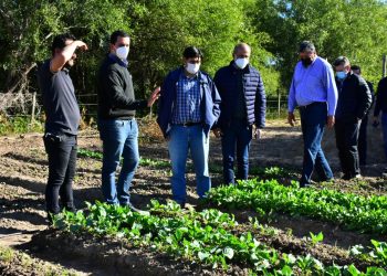 Eber Solís acompañó jornada de capacitación y asistencia a pequeños productores de Güemes