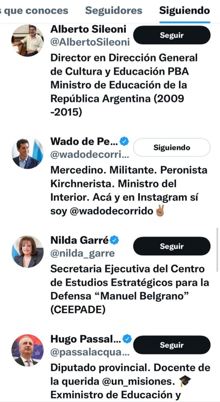 Quiénes son los 71 elegidos de Gildo Insfrán en Twitter