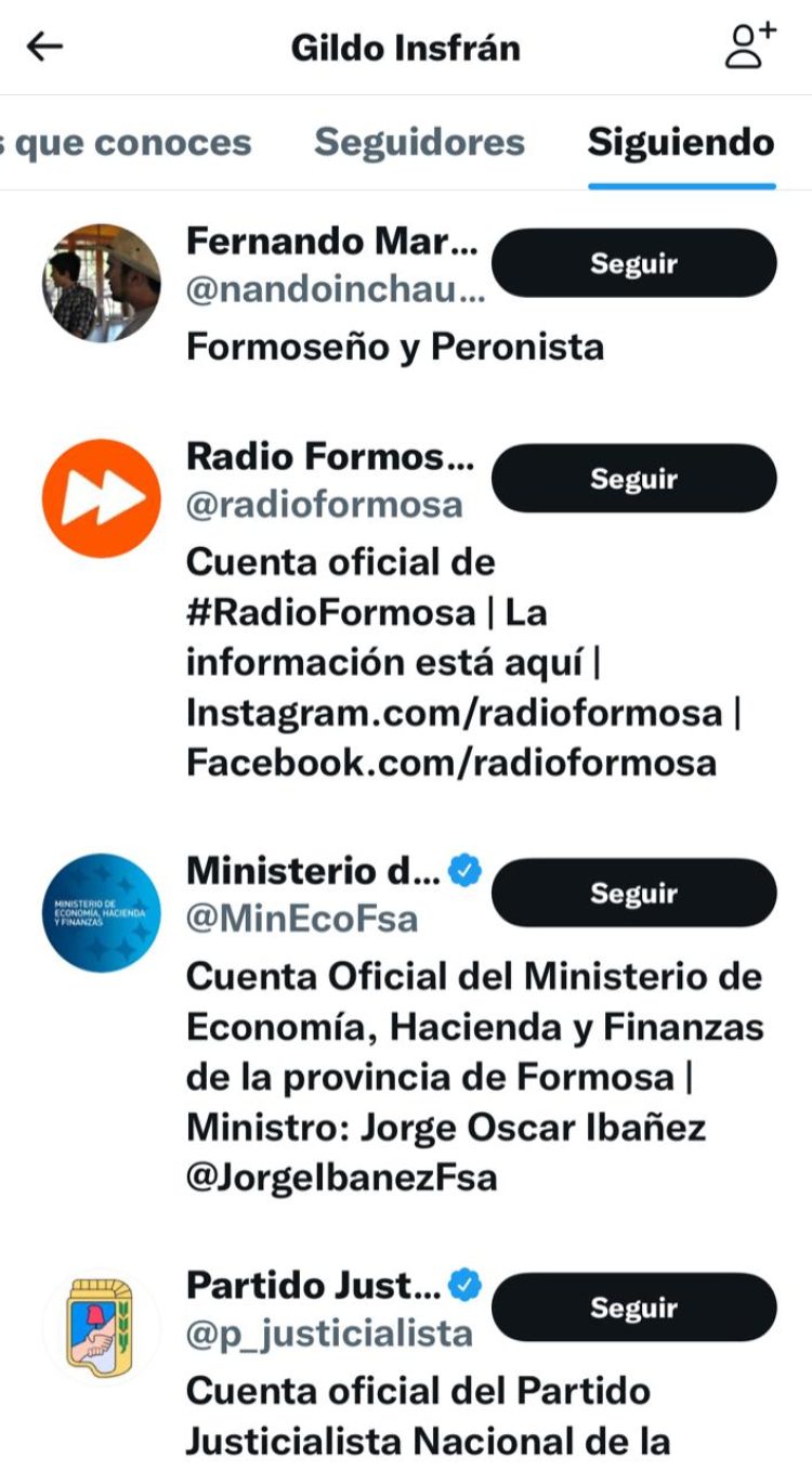 Quiénes son los 71 elegidos de Gildo Insfrán en Twitter