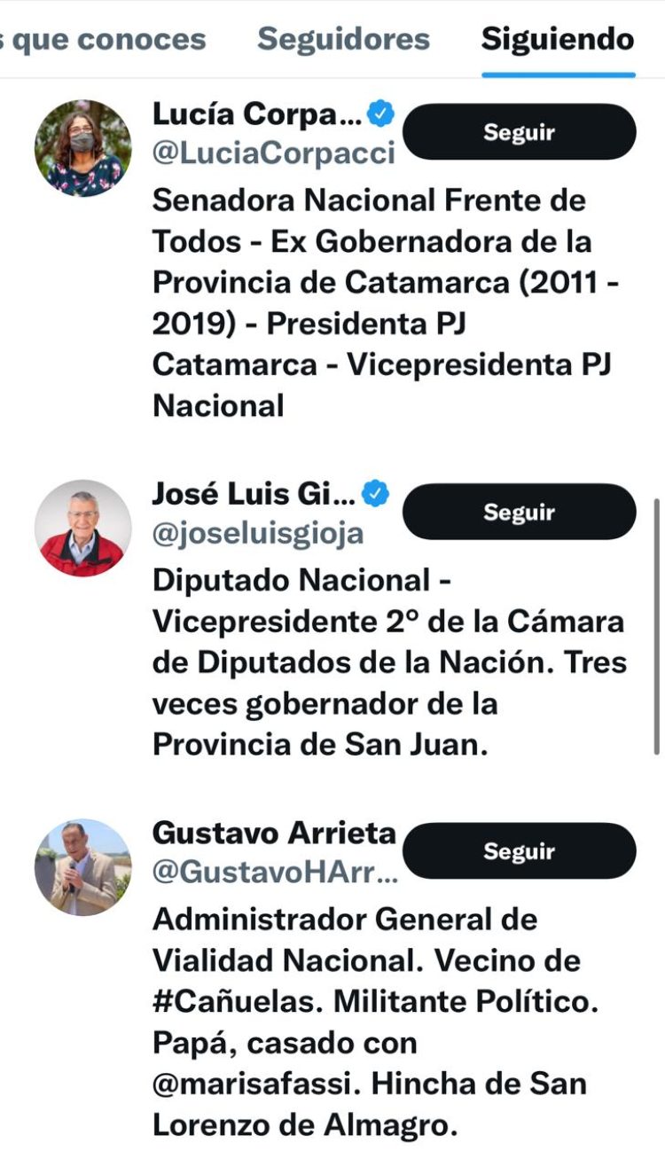 Quiénes son los 71 elegidos de Gildo Insfrán en Twitter