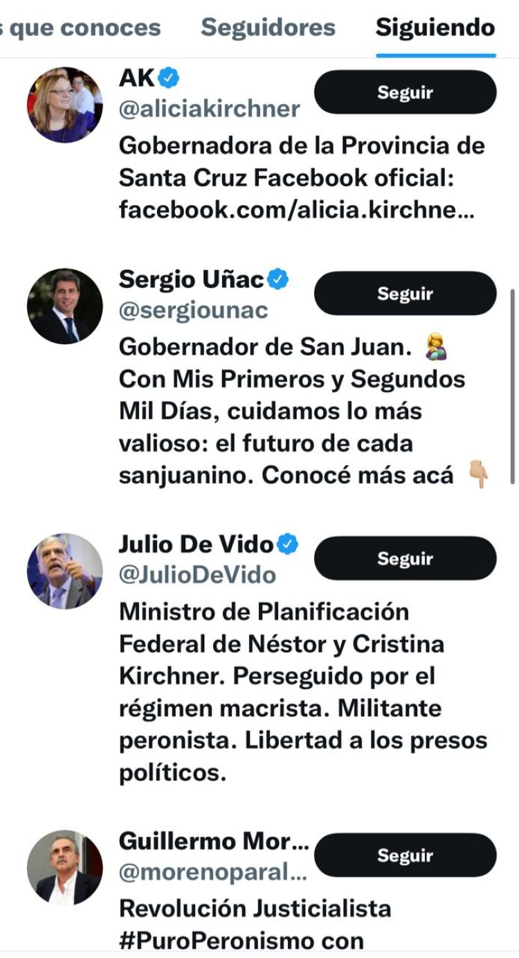 Quiénes son los 71 elegidos de Gildo Insfrán en Twitter