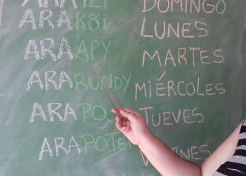 Google incluyó el idioma guaraní a su traductor online