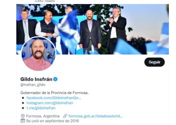 Quiénes son los 71 elegidos de Gildo Insfrán en Twitter