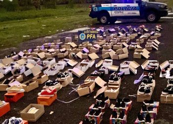 PFA secuestró mercadería sin aval legal en la ruta 11