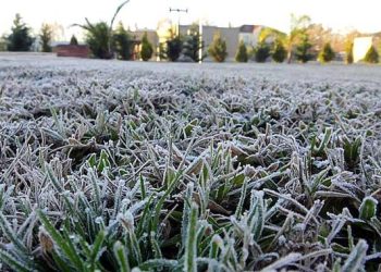 Adelantan que habrá heladas el fin de semana por lo que recomiendan a productores tomar recaudos